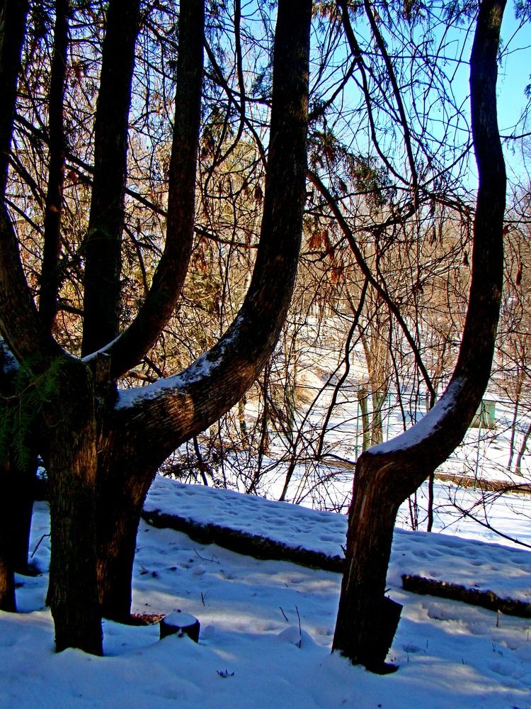 Photograph by Евгений Бригиневич - Снежин