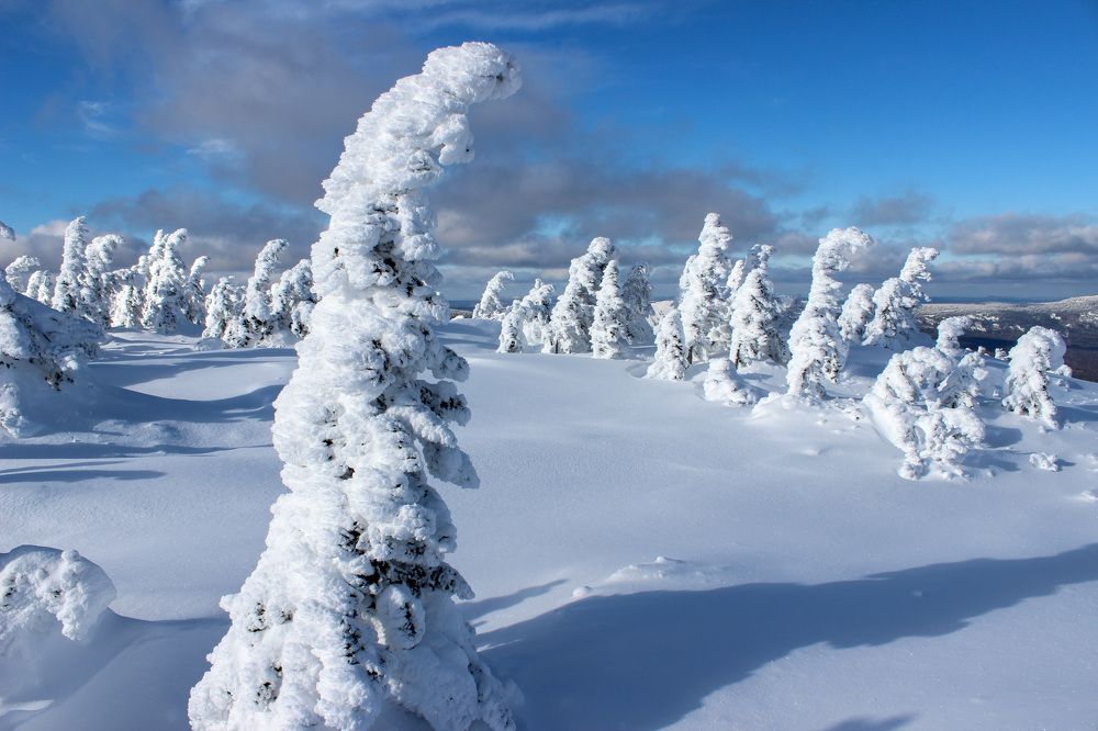 Photograph by Марина Смирнова