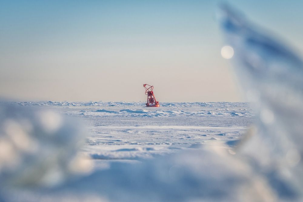 Photograph by Андрей Скрыльков