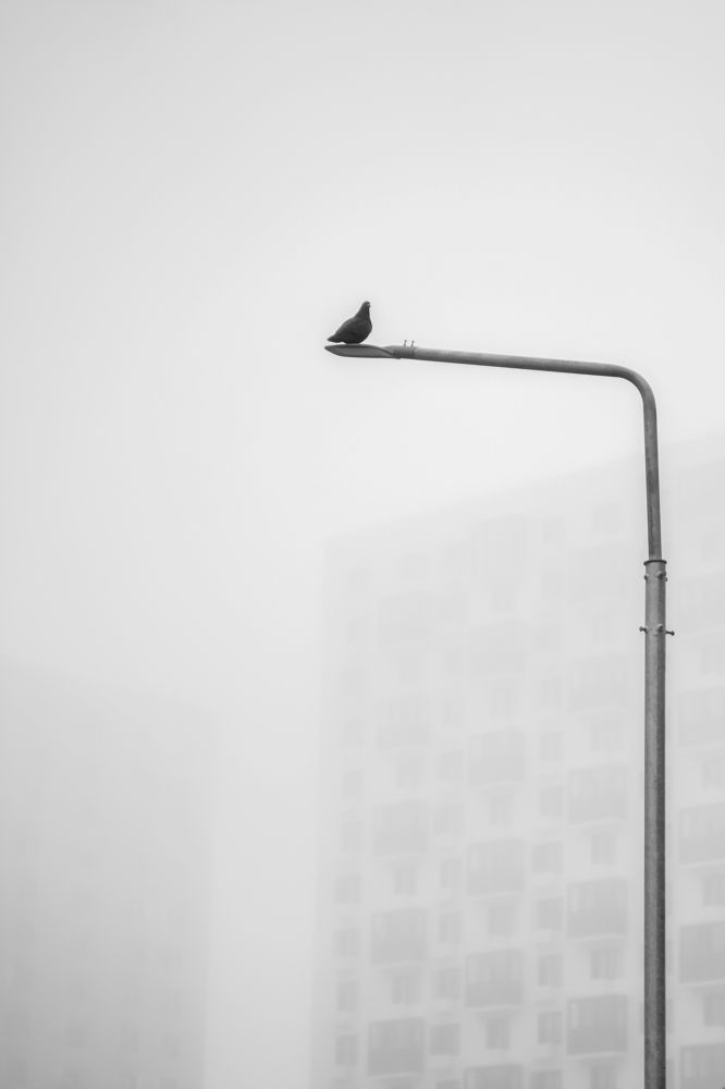 Photograph by Андрей Скрыльков