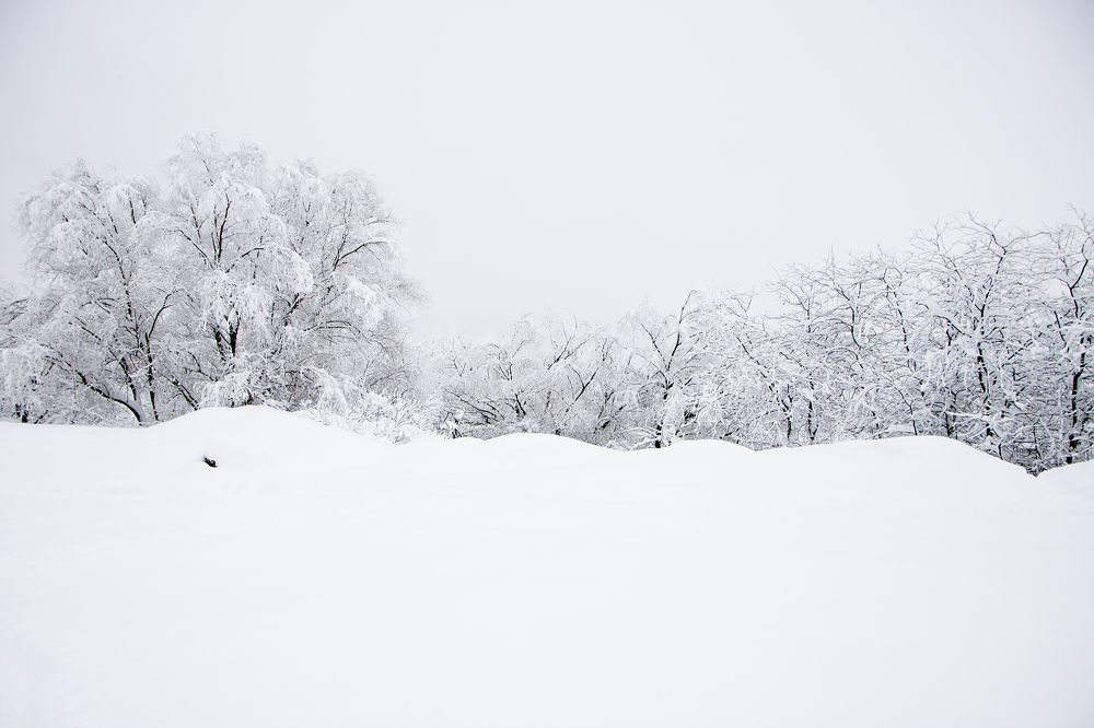 Photograph by Александр Замятин