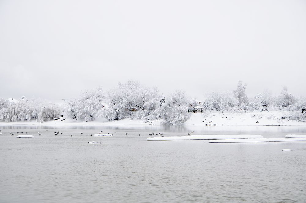 Photograph by Александр Замятин