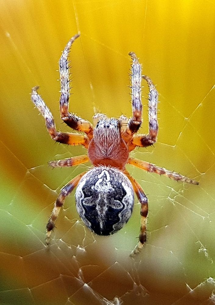 Photograph by Глеб Кузьминых