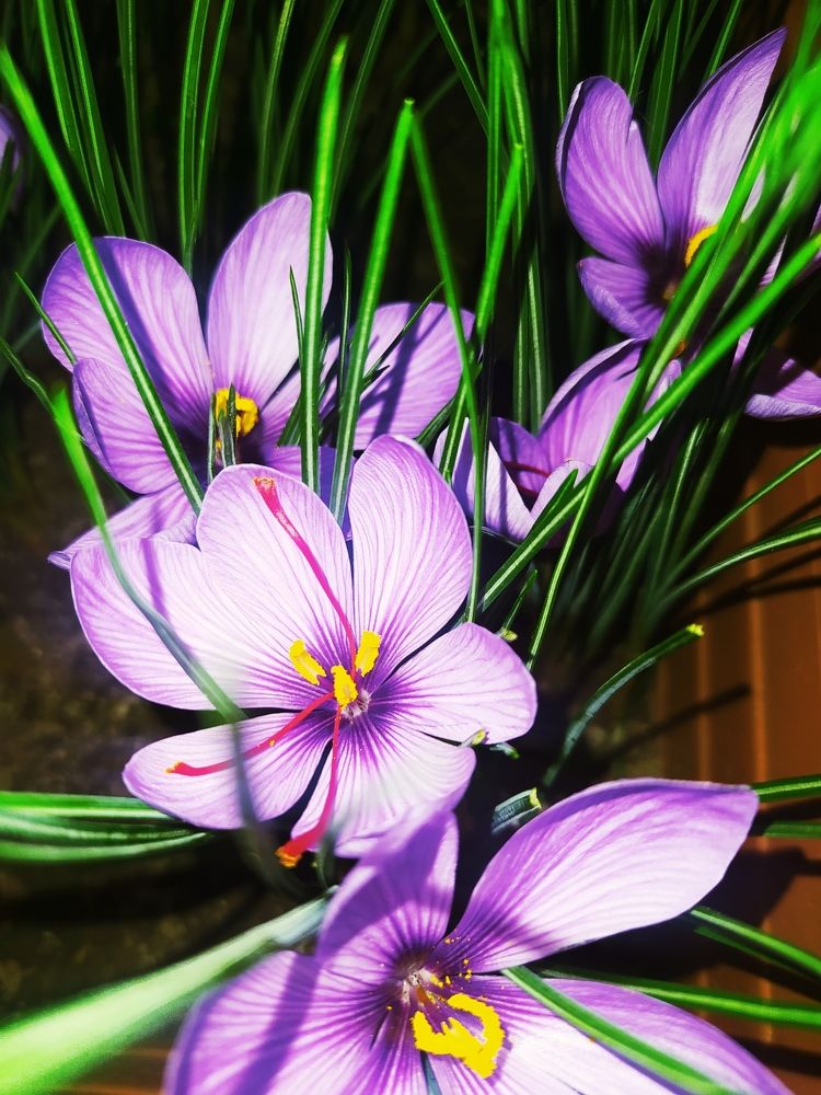 Photograph by Dina Kerimova