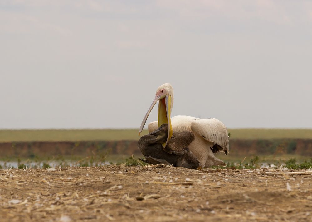 Photograph by Александр Ильин