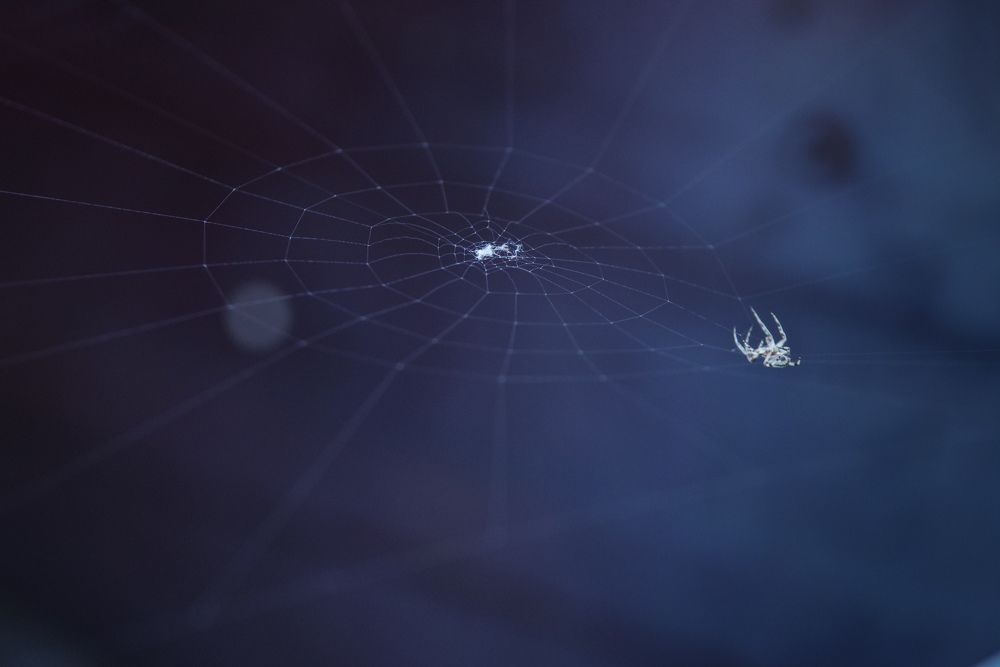 Photograph by Аркадий Кривонос