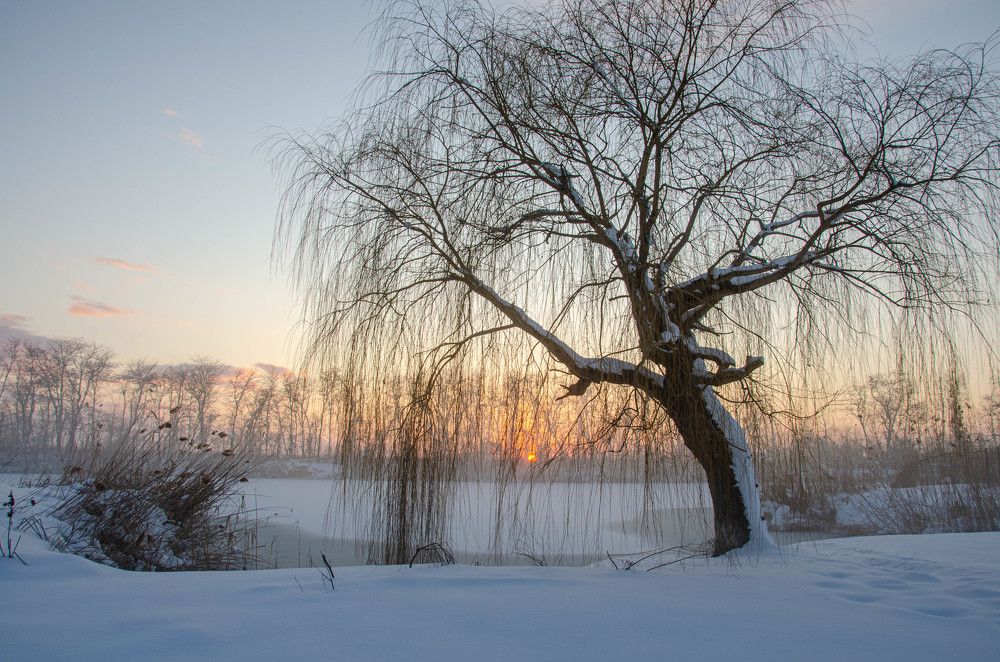 Photograph by Редько Александр