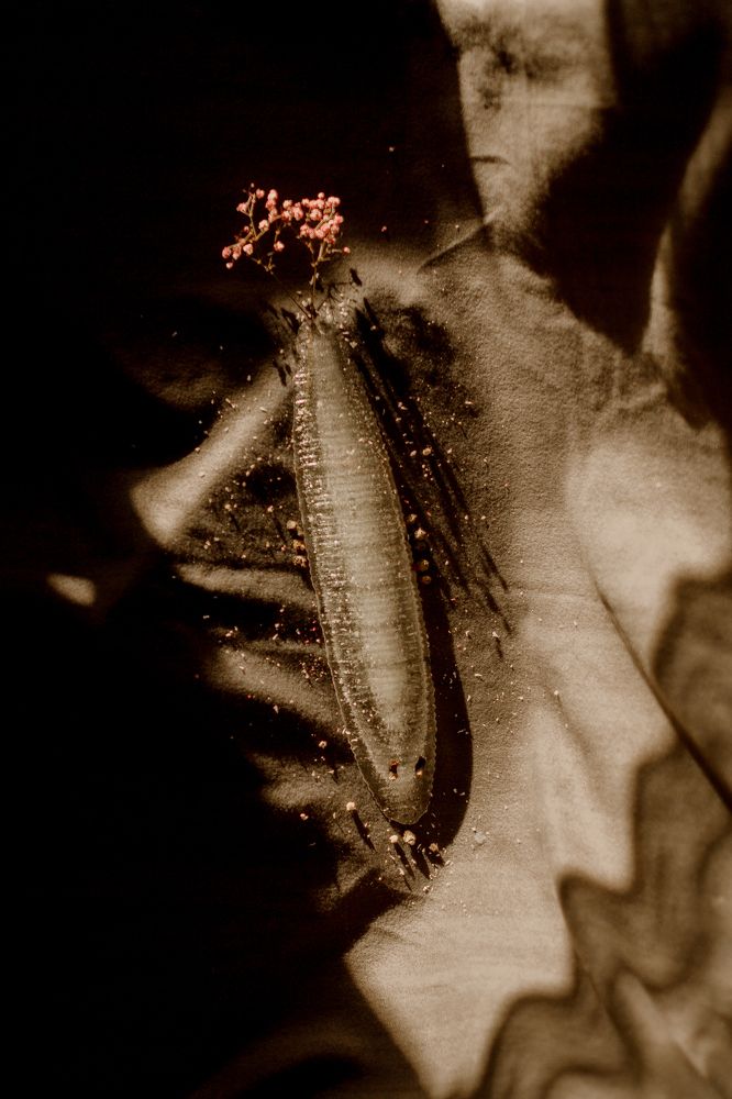 Photograph by Вера Олина