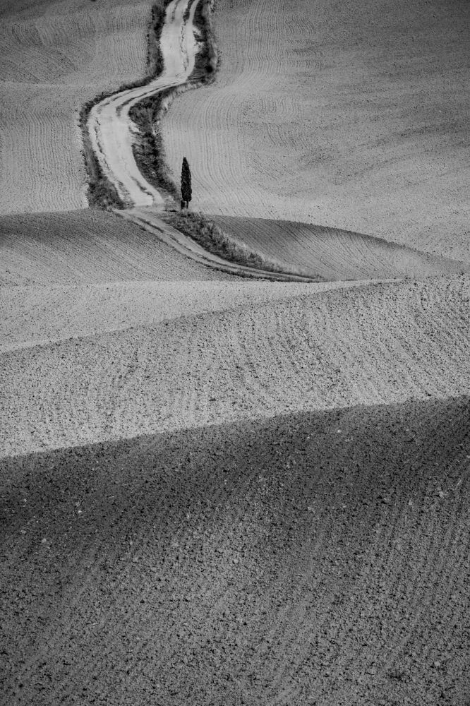 Photograph by Dzintra Zvagina