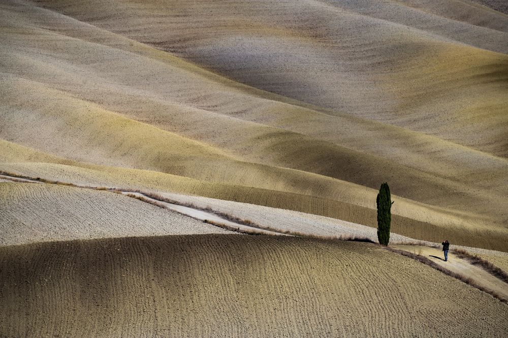 Photograph by Dzintra Zvagina