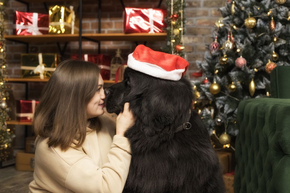 Photograph by Филатова Елена