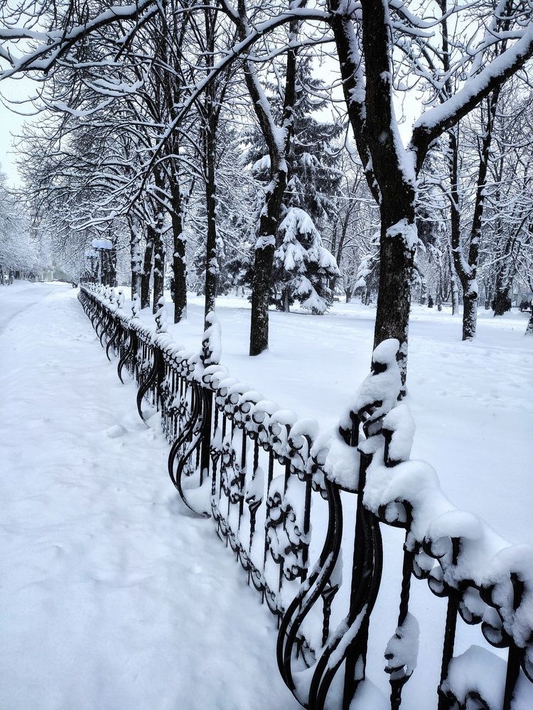 Фотография автора Ольга Игуменова