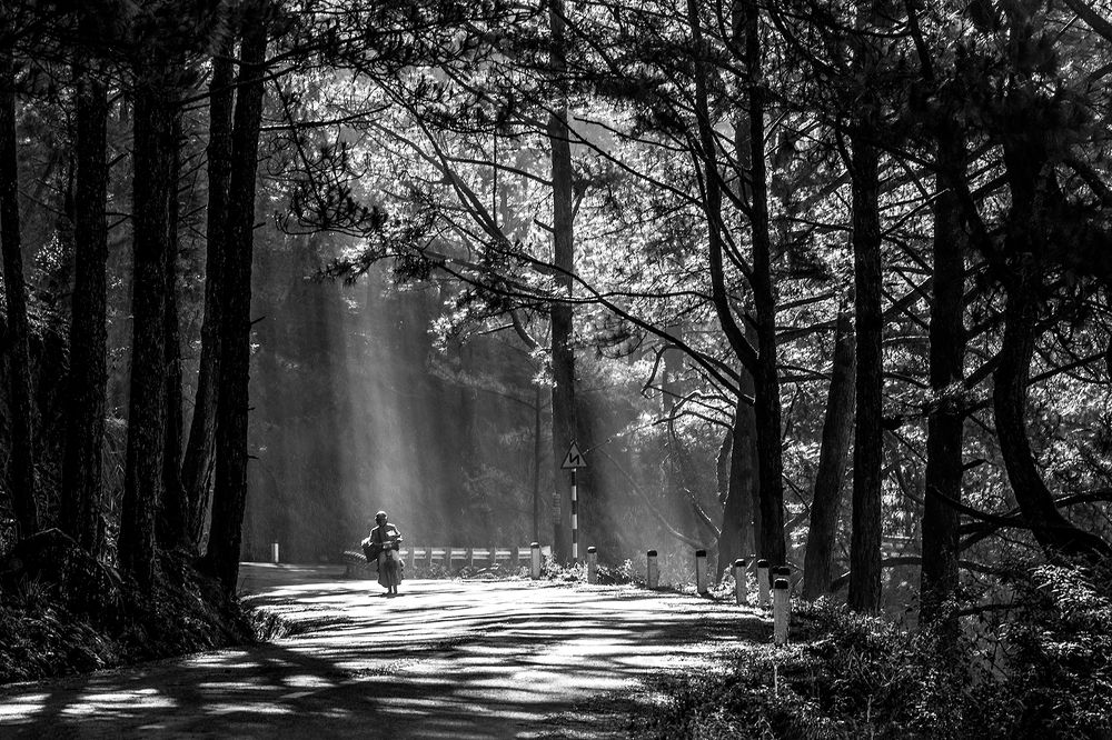 Photograph by Lê Minh