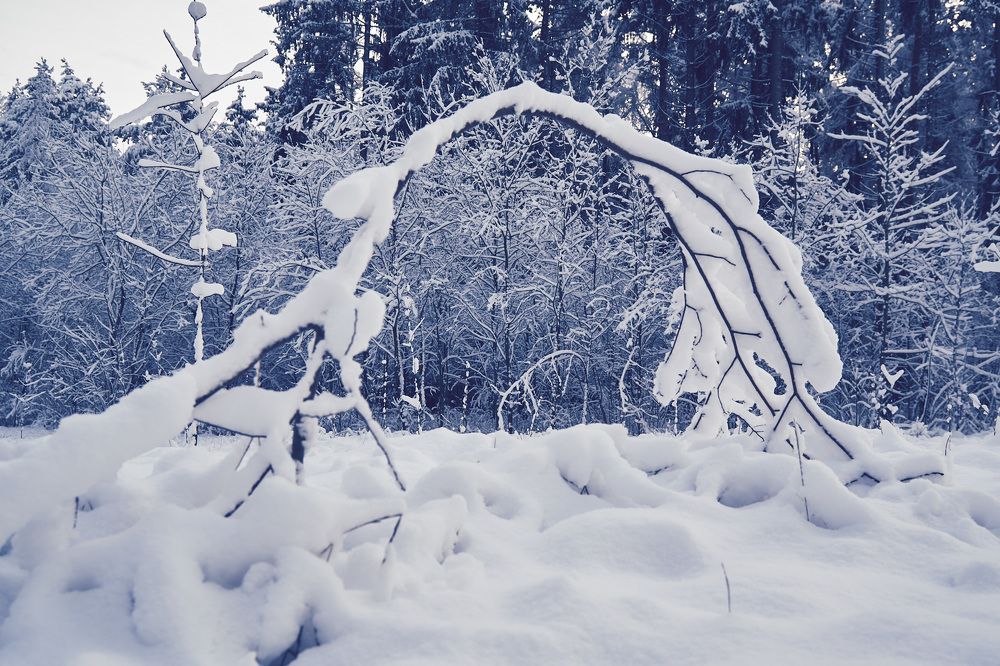 Photograph by Андрей