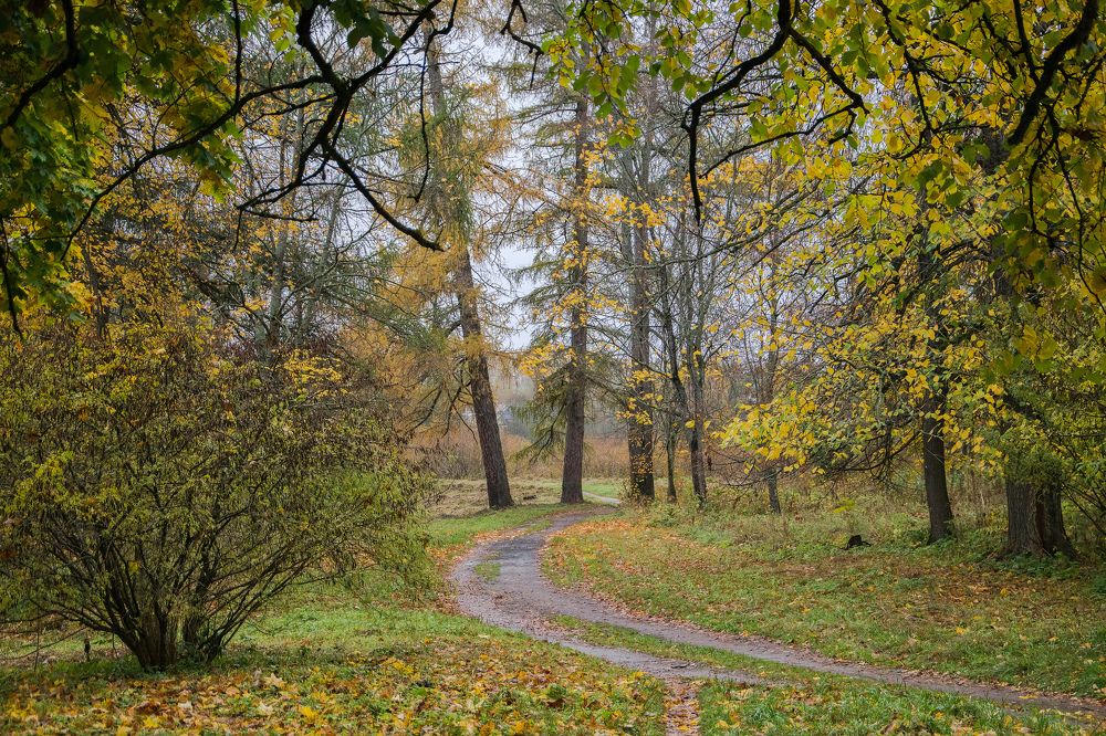 Осень. Село Грузины