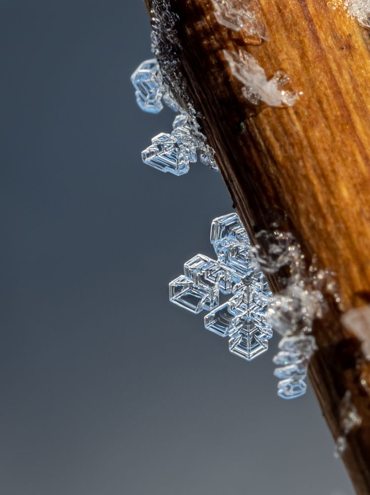 Photograph by Марина Новожилова