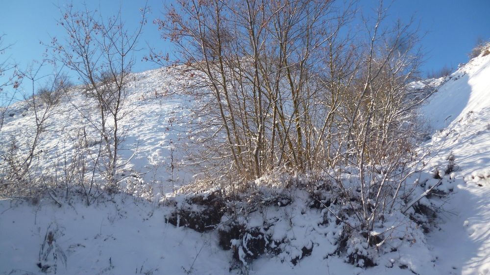 Photo #7097613