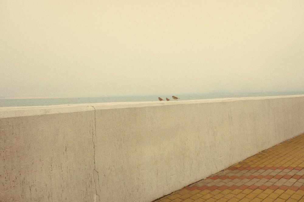 Photograph by Илья Михайлов