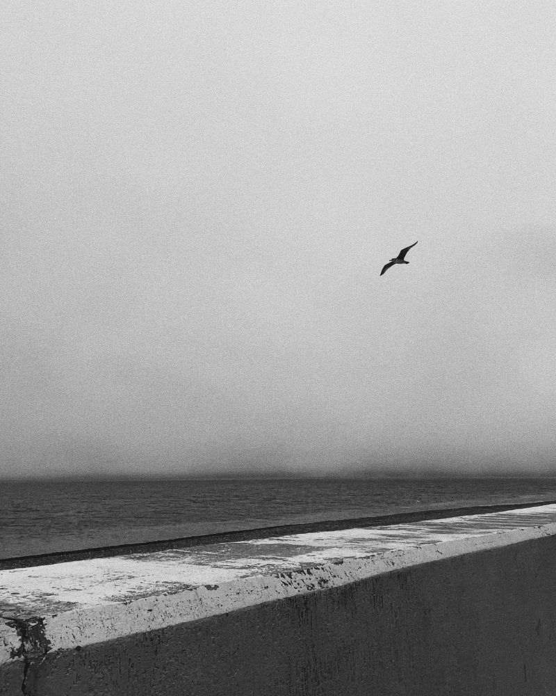 Photograph by Илья Михайлов