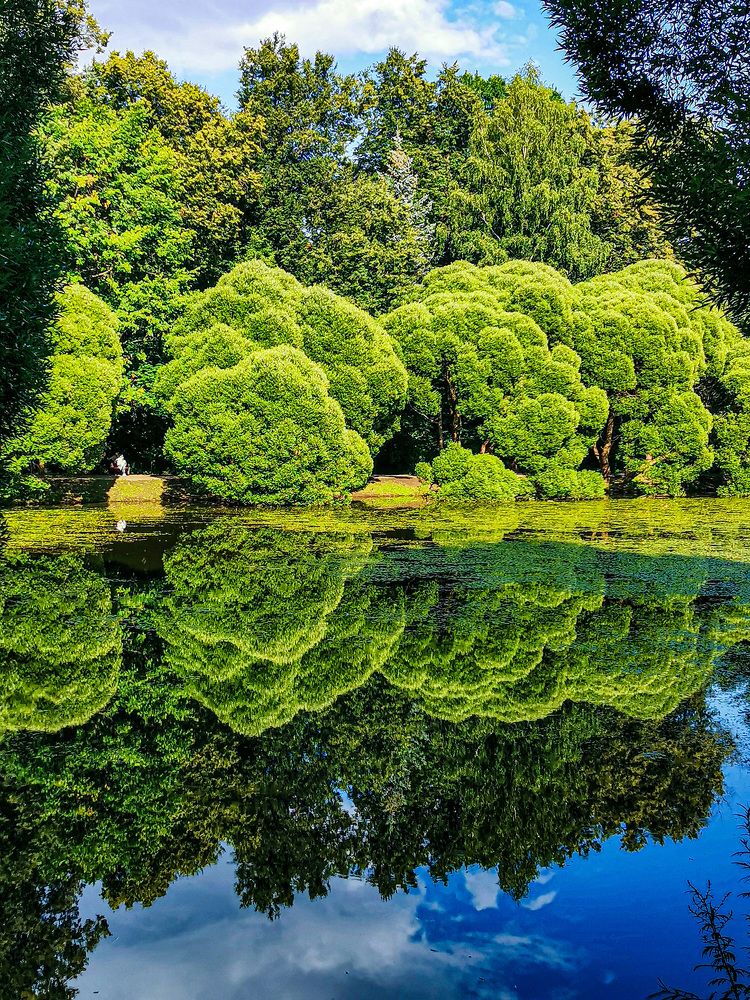 Photograph by Ilia Nikolenko