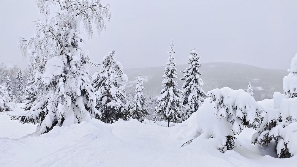 Фотография автора Чумаков Павел