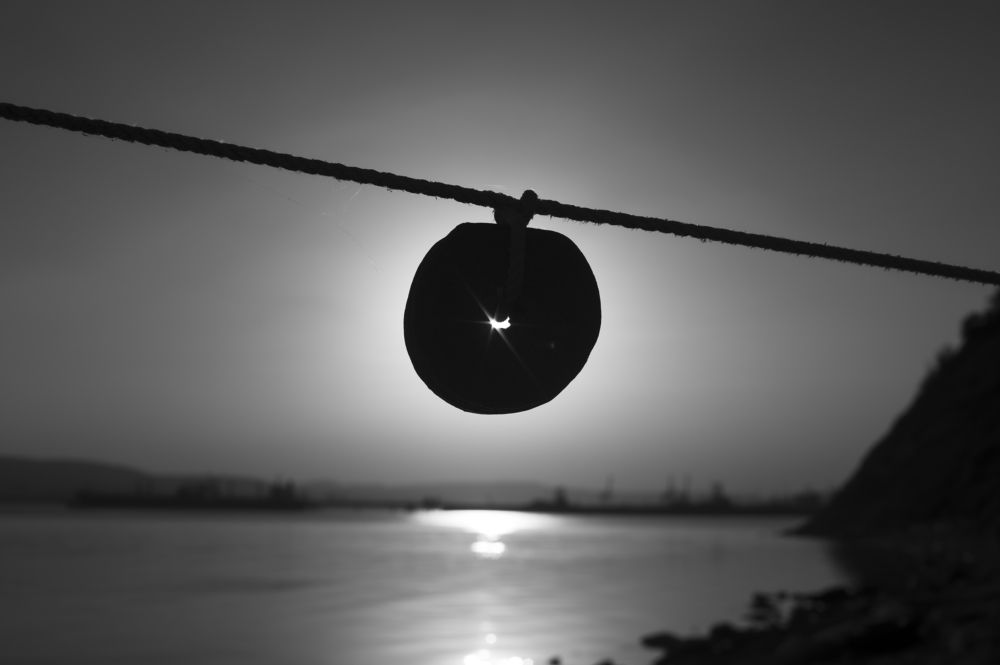 Photograph by Roman Adler