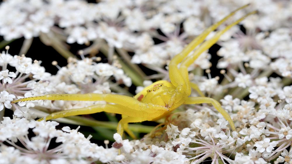 Photograph by Bekir Yesiltas