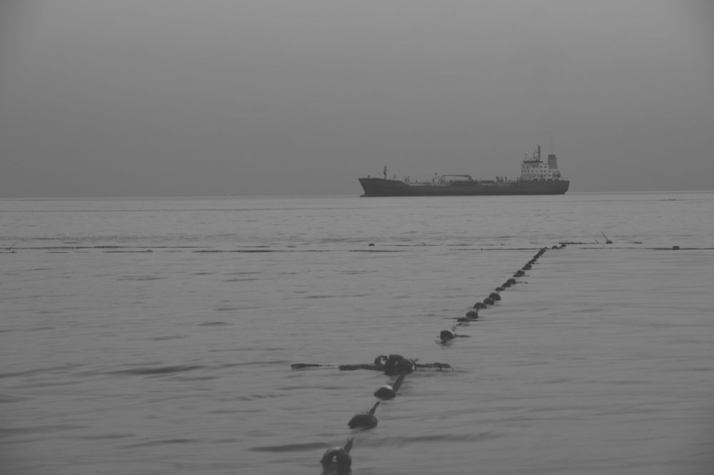 Photograph by Roman Adler