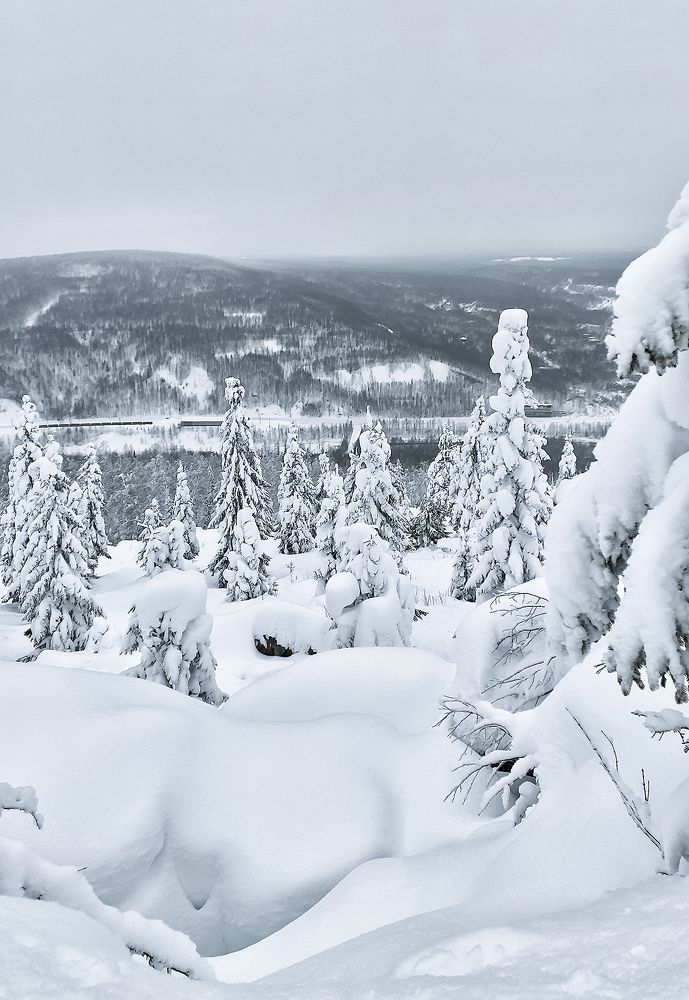 Фотография автора Чумаков Павел