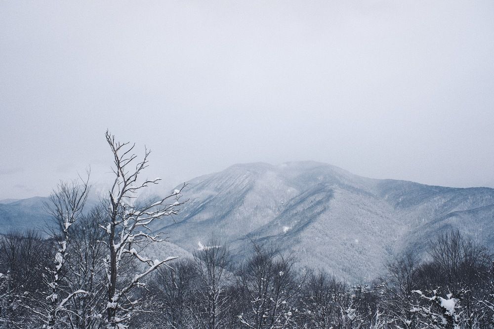 Photograph by Илья Михайлов