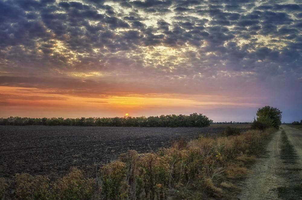 Photograph by Александр Карпенко