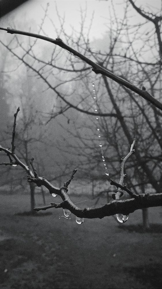 Фотография автора Maria Efremova