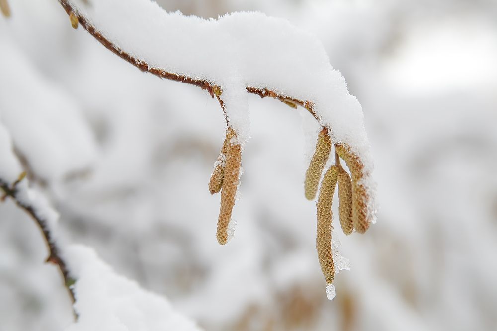 Photograph by Николай Осипенко