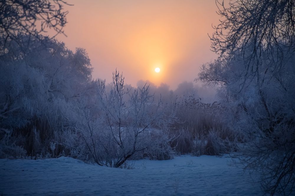 Photograph by Дарья Нартова