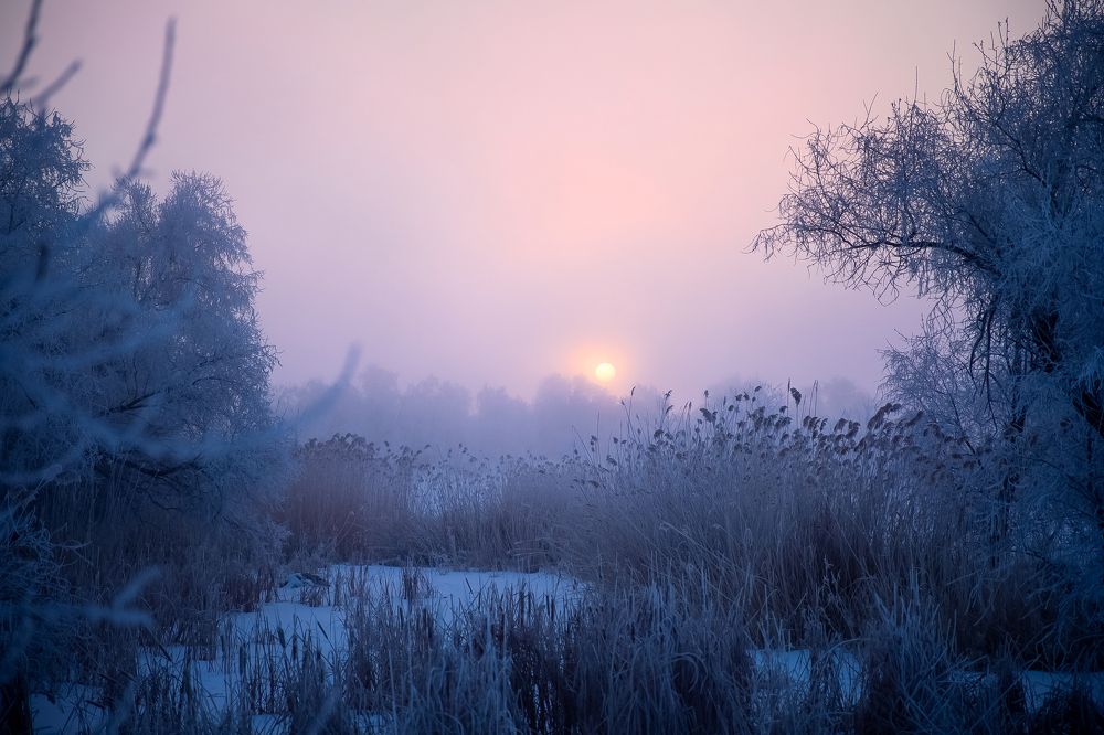 Photograph by Дарья Нартова