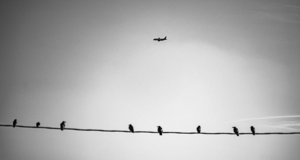 Фотография автора Александр Кременицкий