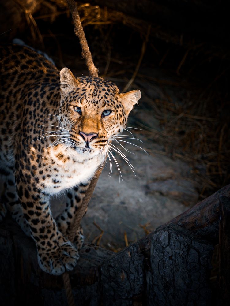 Photograph by Андрей Игнатенко