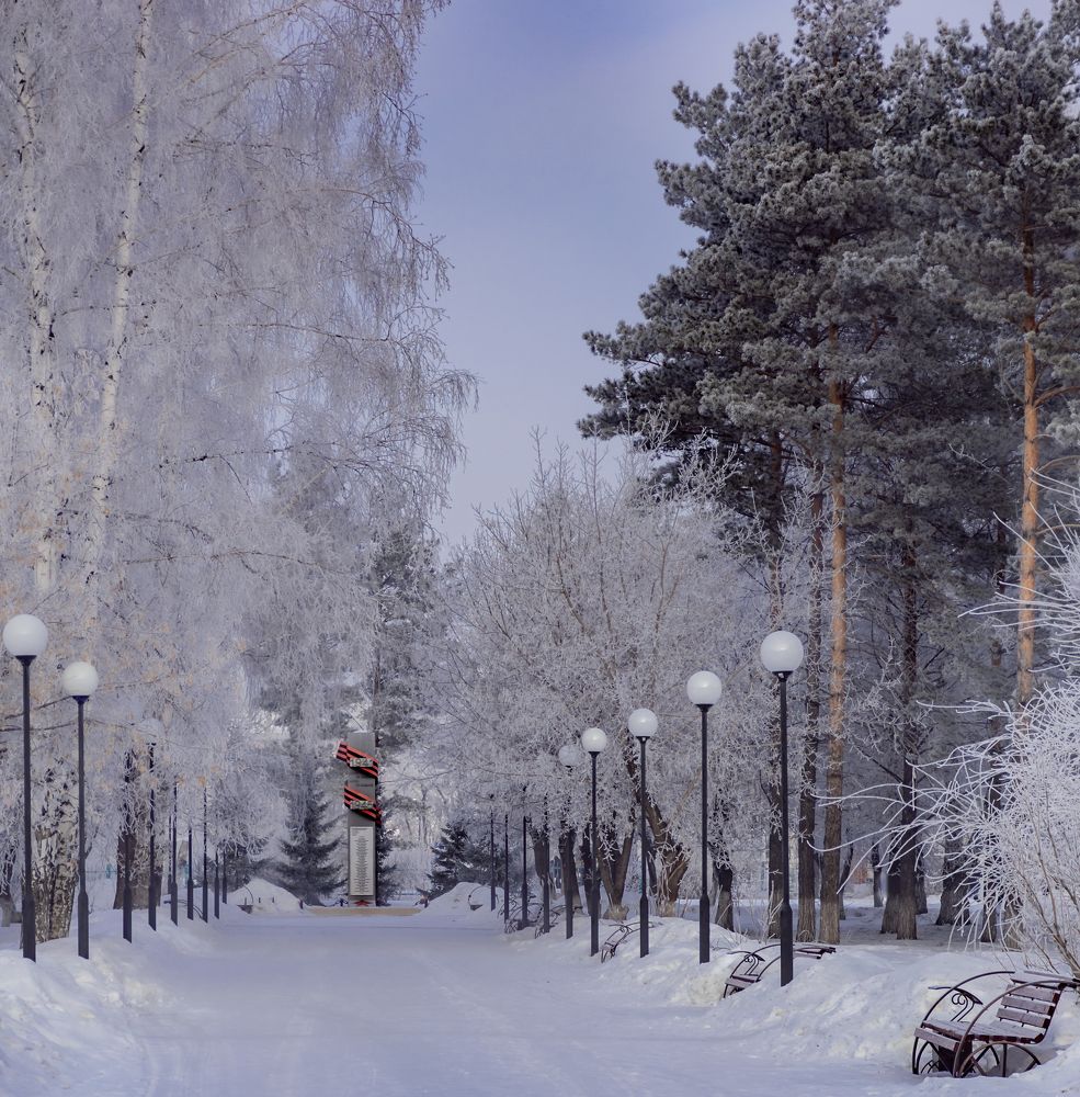 Природа под снегом