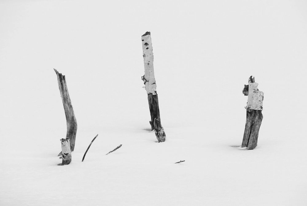 Photograph by Суетинов Евгений