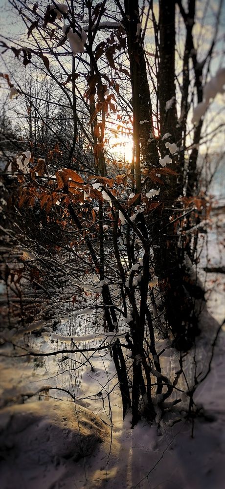 Photograph by Вячеслав Збінський