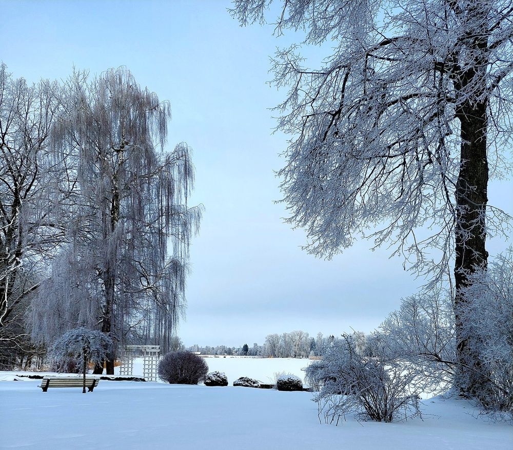 Photograph by Kristiina Soots