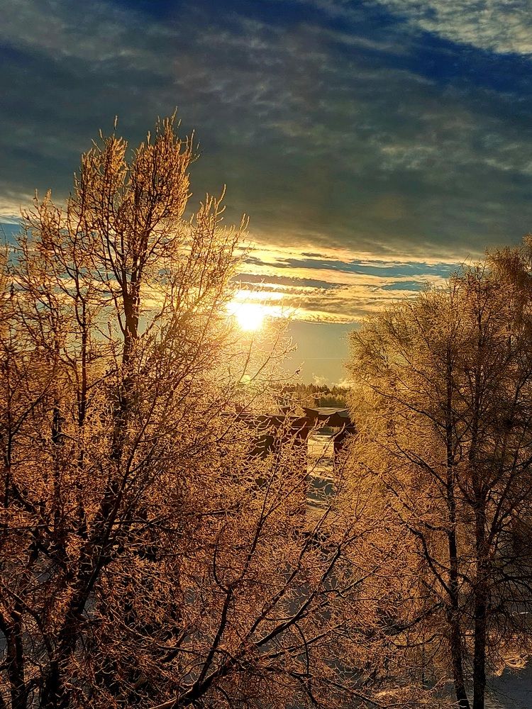 Photograph by Kristiina Soots