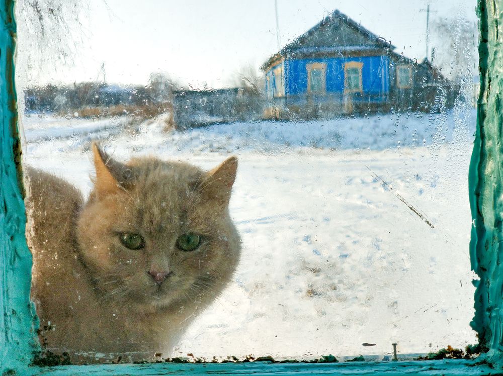 Photograph by Андрей Ионов