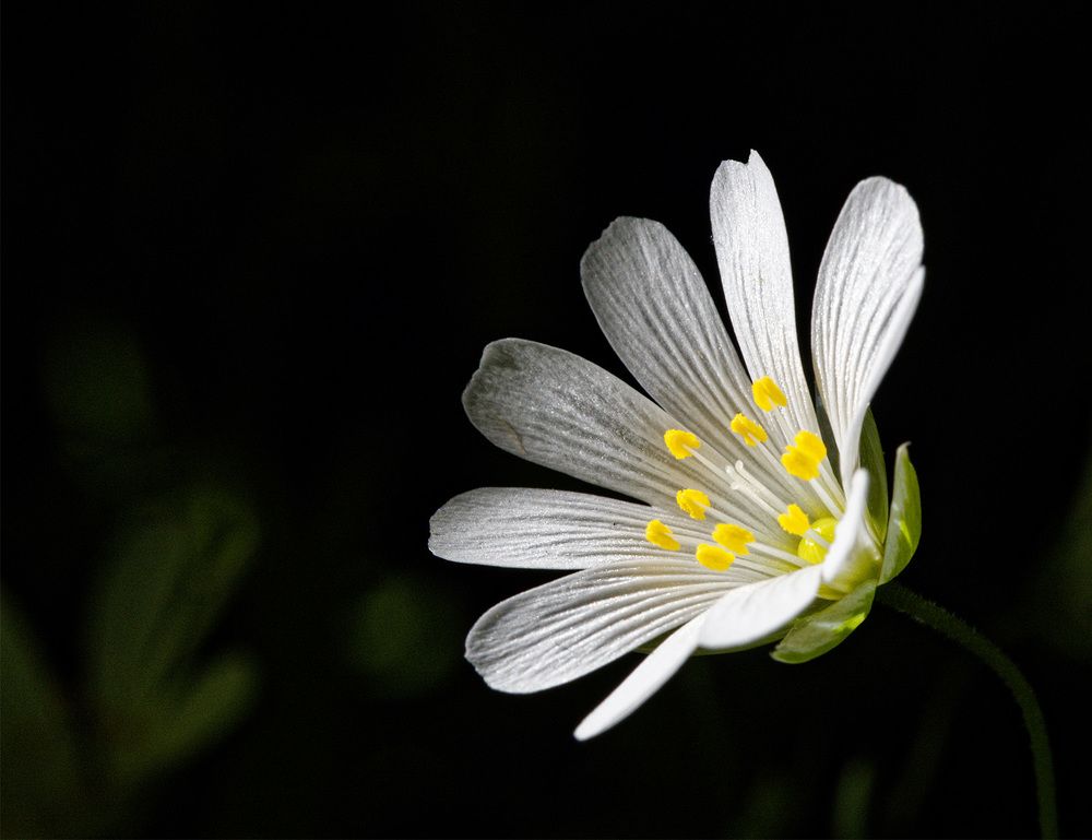 Photograph by Павел Кулинич