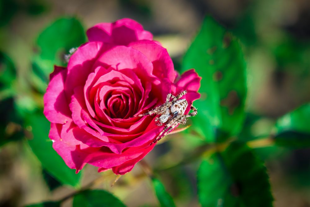 Photograph by Андрей Валерьвич