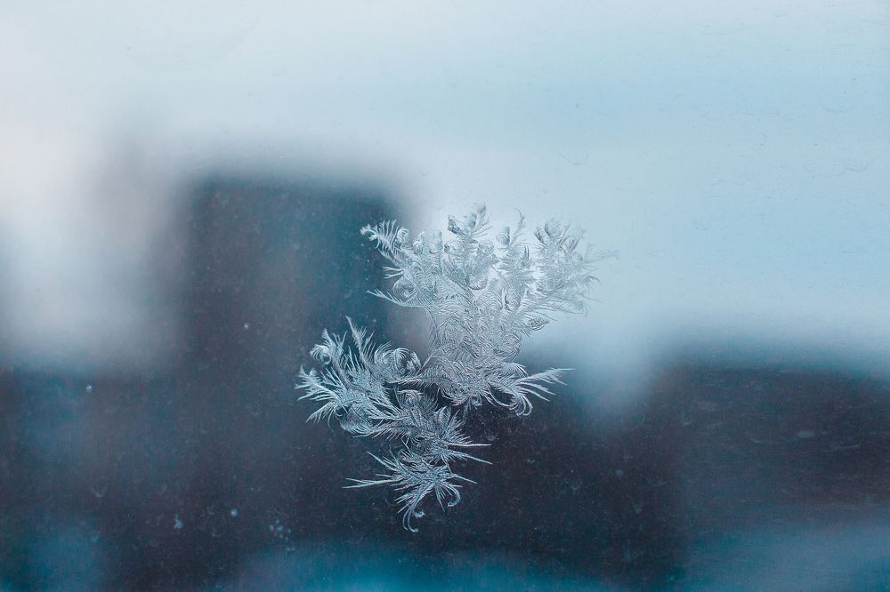 Photograph by Ольга Миронова