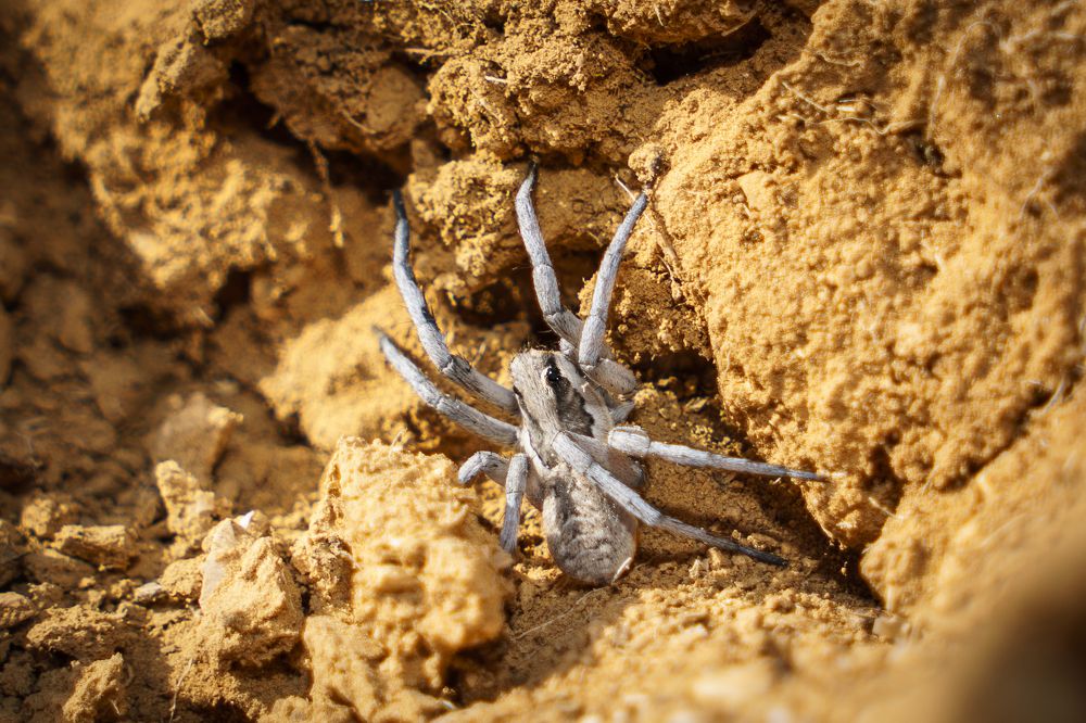 Photograph by Avi Theret