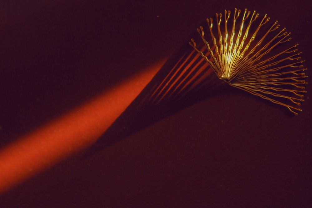 Photograph by Елена Леонидовна