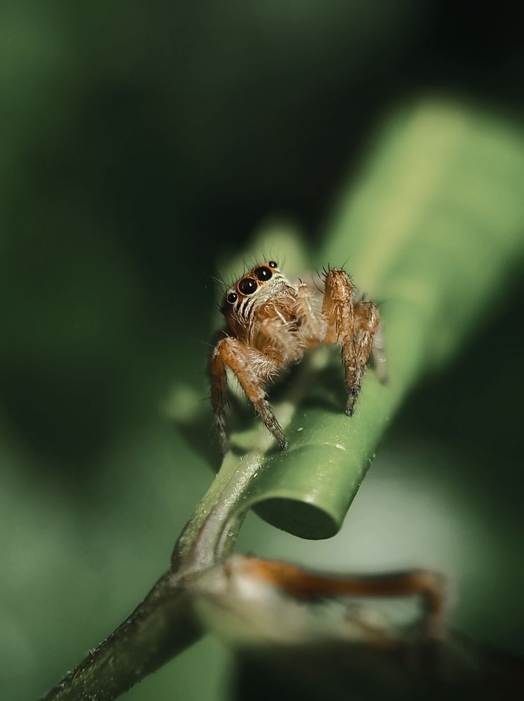 Photograph by PRABAGARAN V