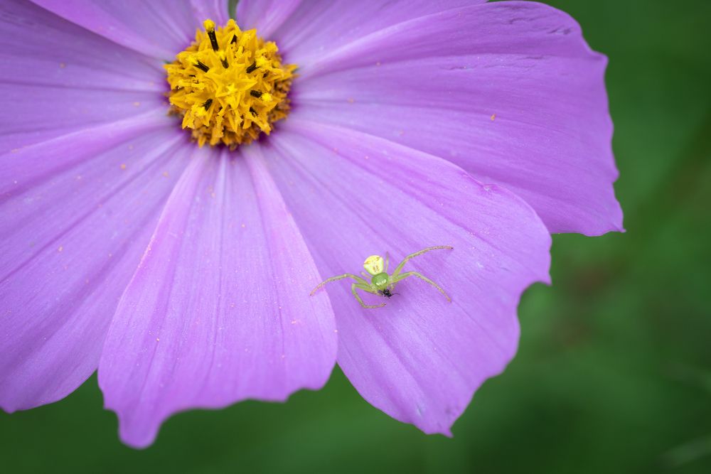 Photograph by Андрей Валерьвич